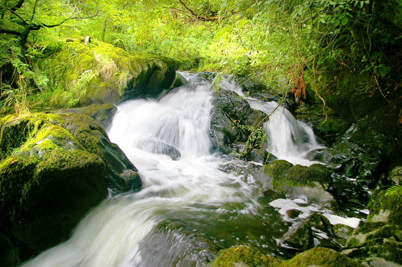 To save this picture as Windows Wallpaper - right click it - then select "Set as Background"